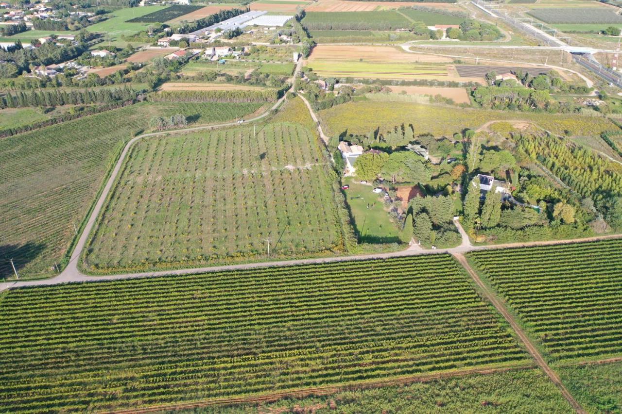 Domaine De La Trinite Montpellier - Aeroport - Plages - Arena - Zenith Saint-Aunes Екстер'єр фото